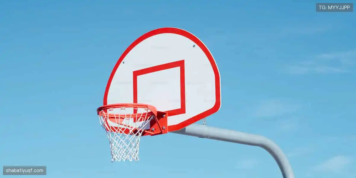 数据与激情同频，专业共欢乐一色！📊🎉 用科技解锁体育新视角！